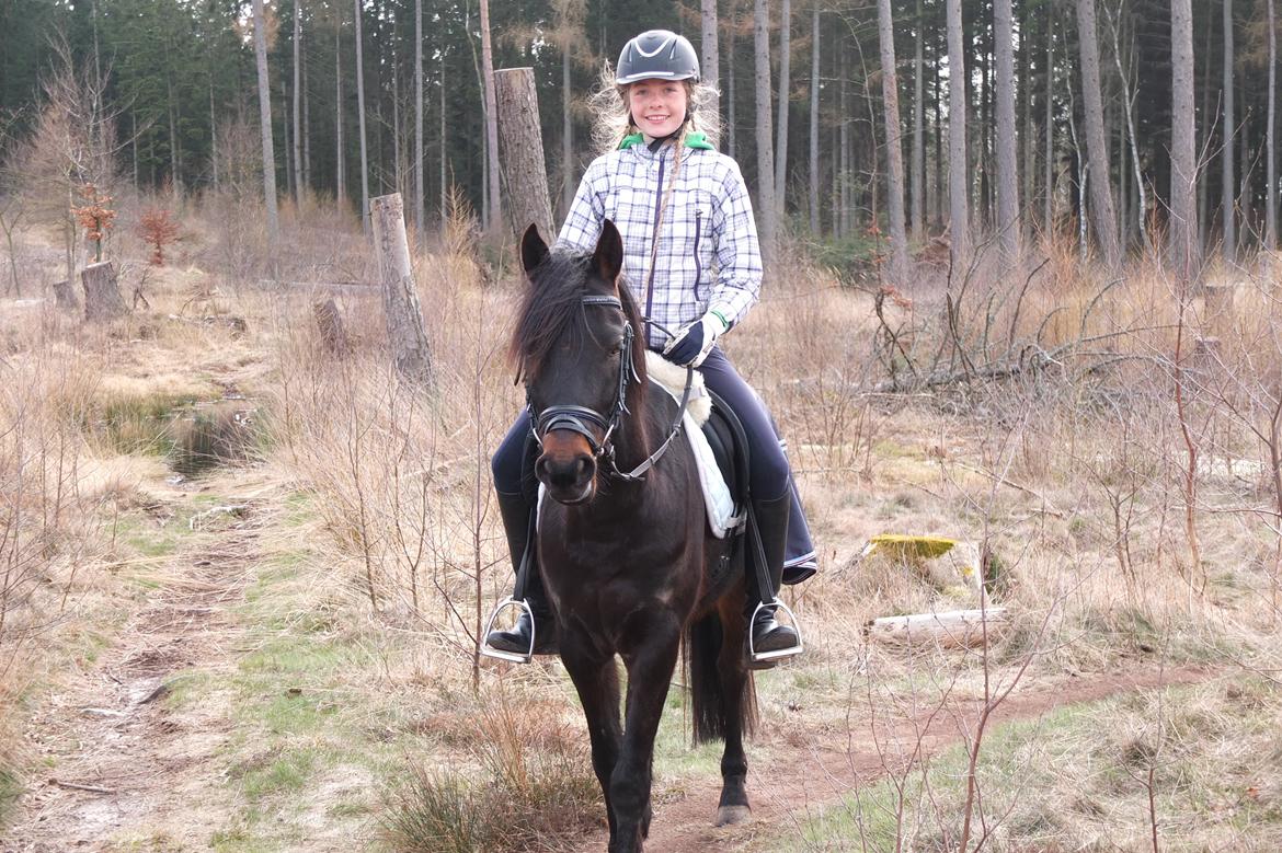 DSP Festina's Chevi *bestie* - På eventyr <3 billede 16