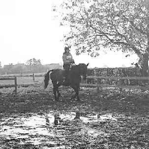 Anden særlig race Waneesha billede 16