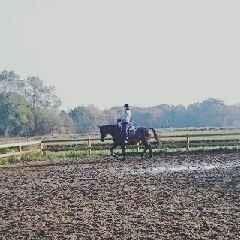 Anden særlig race Waneesha billede 17