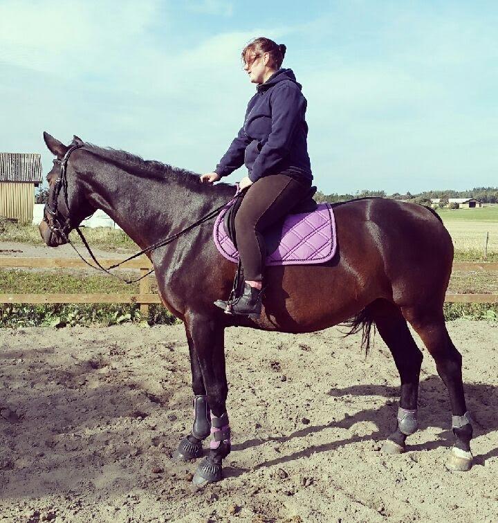 Anden særlig race Waneesha billede 18