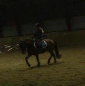 New Forest My little pony topper  billede 12