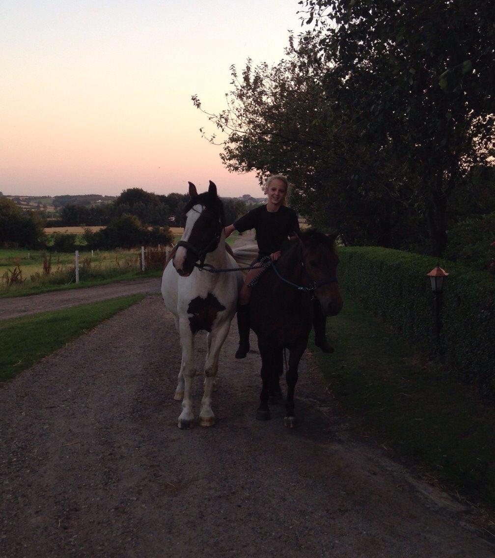 New Forest My little pony topper  billede 13