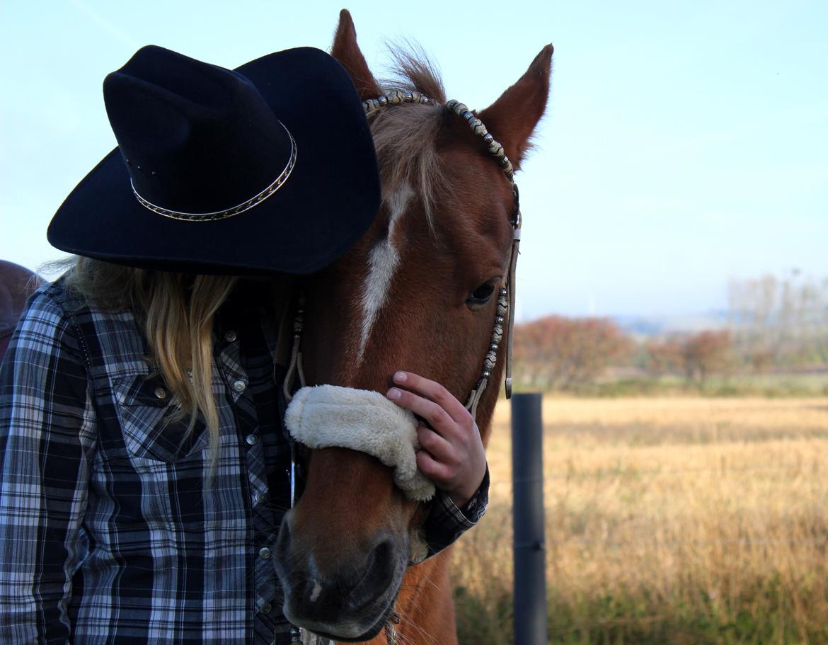 New Forest Mr. Hidalgo Jabidi billede 19