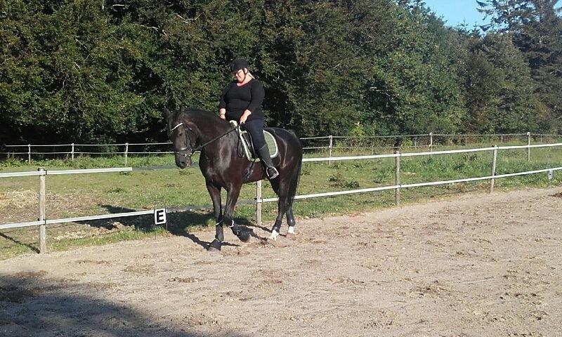 Oldenborg Pandora Noir billede 1