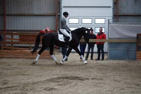 Oldenborg Pandora Noir billede 6