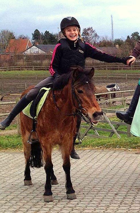 Anden særlig race Joy billede 1