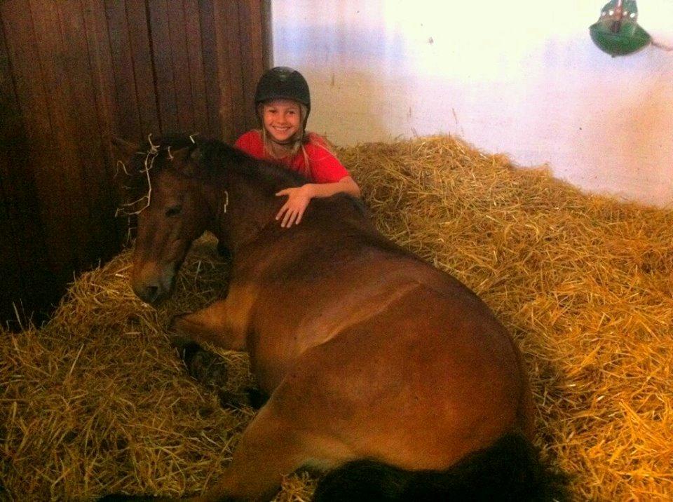 Anden særlig race Joy billede 5