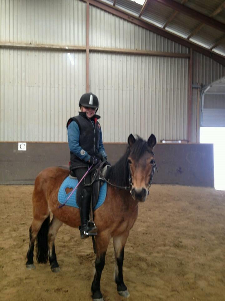 Anden særlig race Joy billede 7