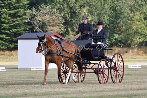 Frederiksborg Seedorff´s Mulle billede 1