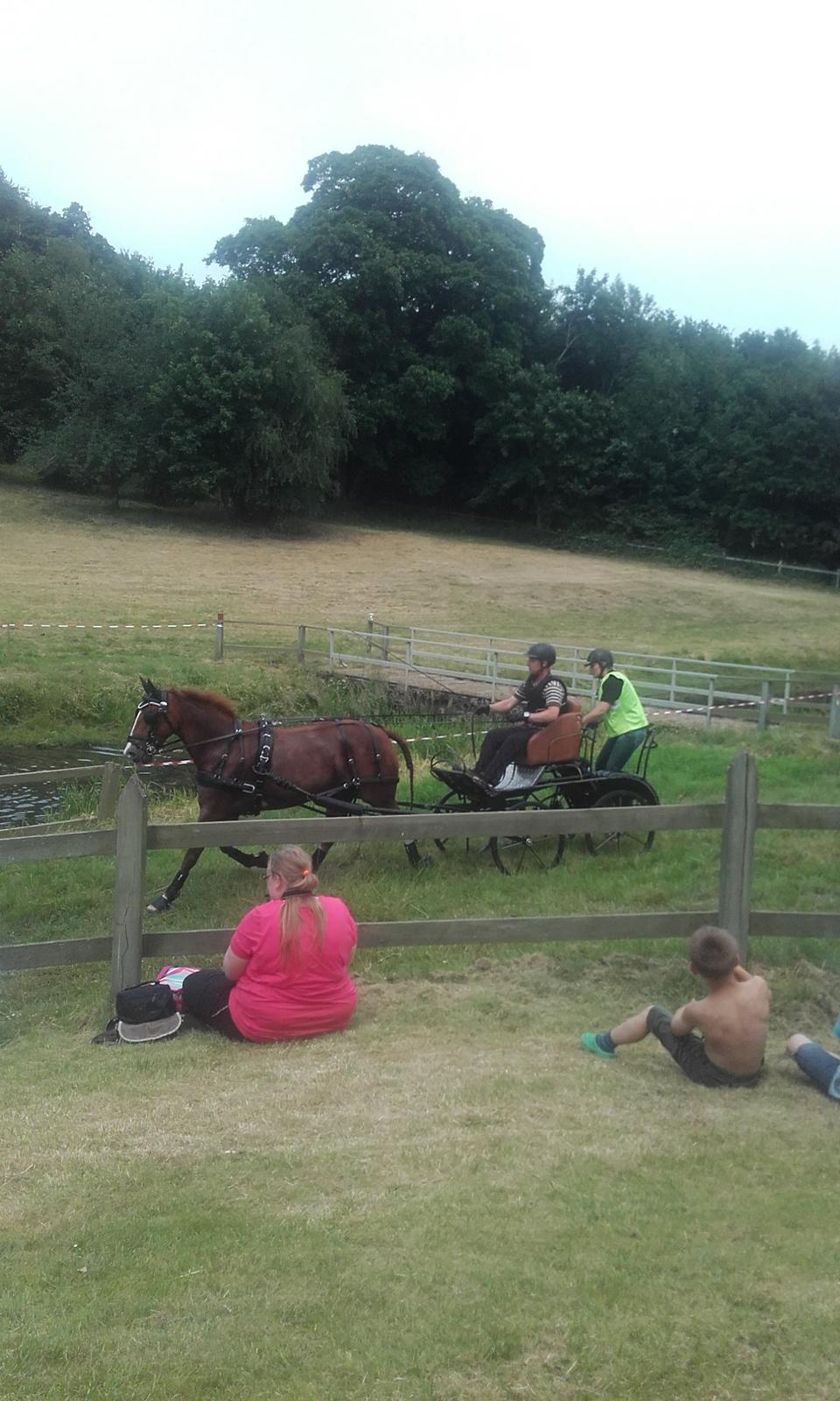 Frederiksborg Seedorff´s Mulle billede 4