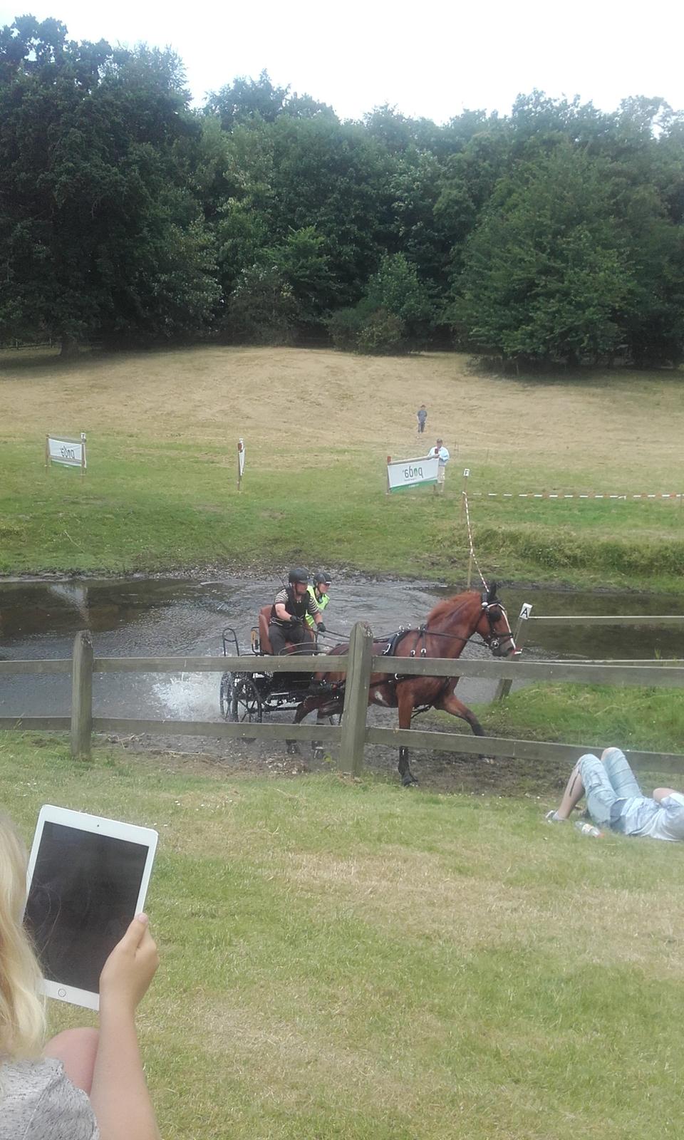 Frederiksborg Seedorff´s Mulle billede 5