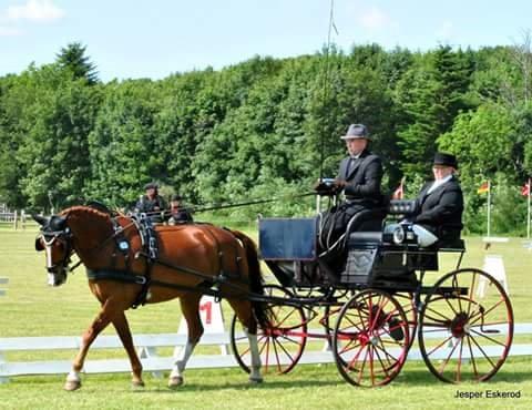 Frederiksborg Seedorff´s Mulle billede 2