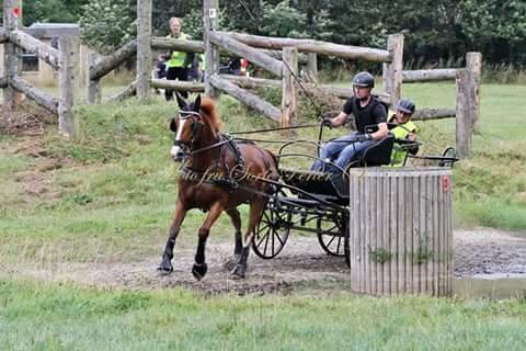 Frederiksborg Seedorff´s Mulle billede 6