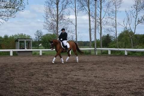 Frederiksborg Seedorff´s Mulle billede 7