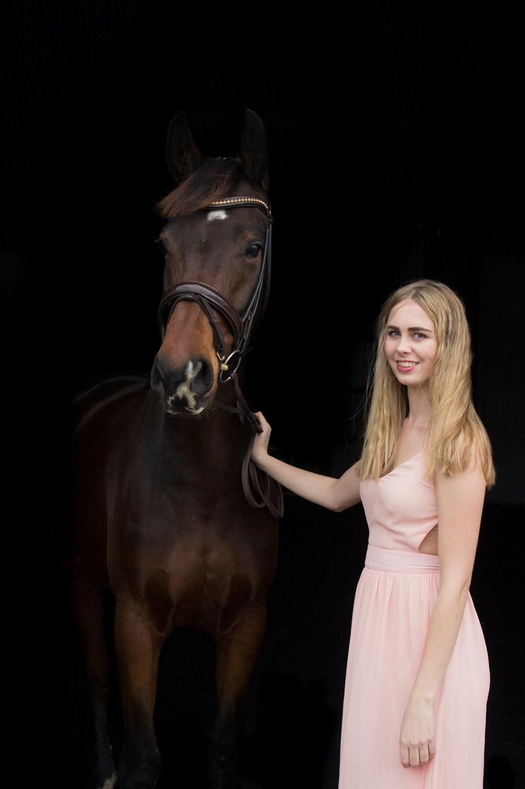 Dansk Varmblod Demi af Hedensminde billede 14