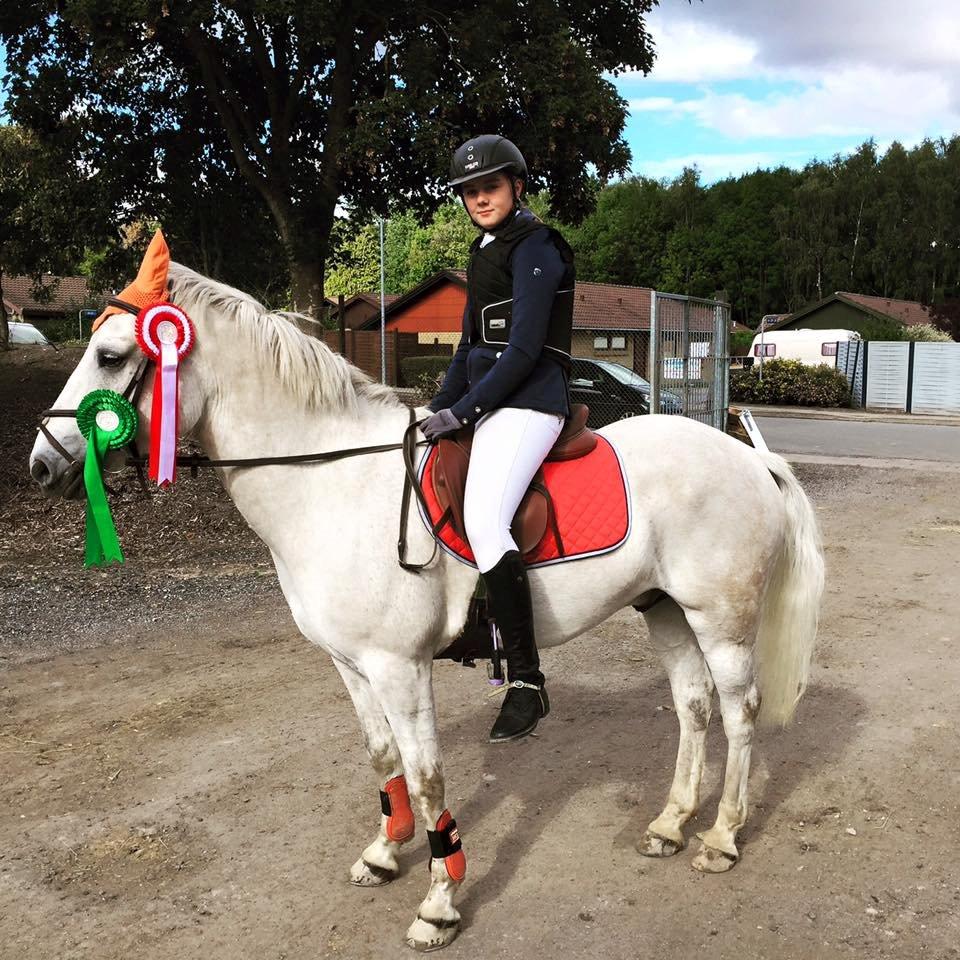 Anden særlig race Silver Shy billede 16