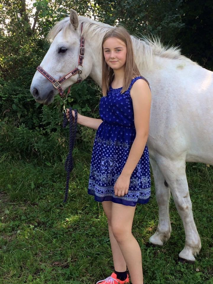 Anden særlig race Silver Shy billede 15