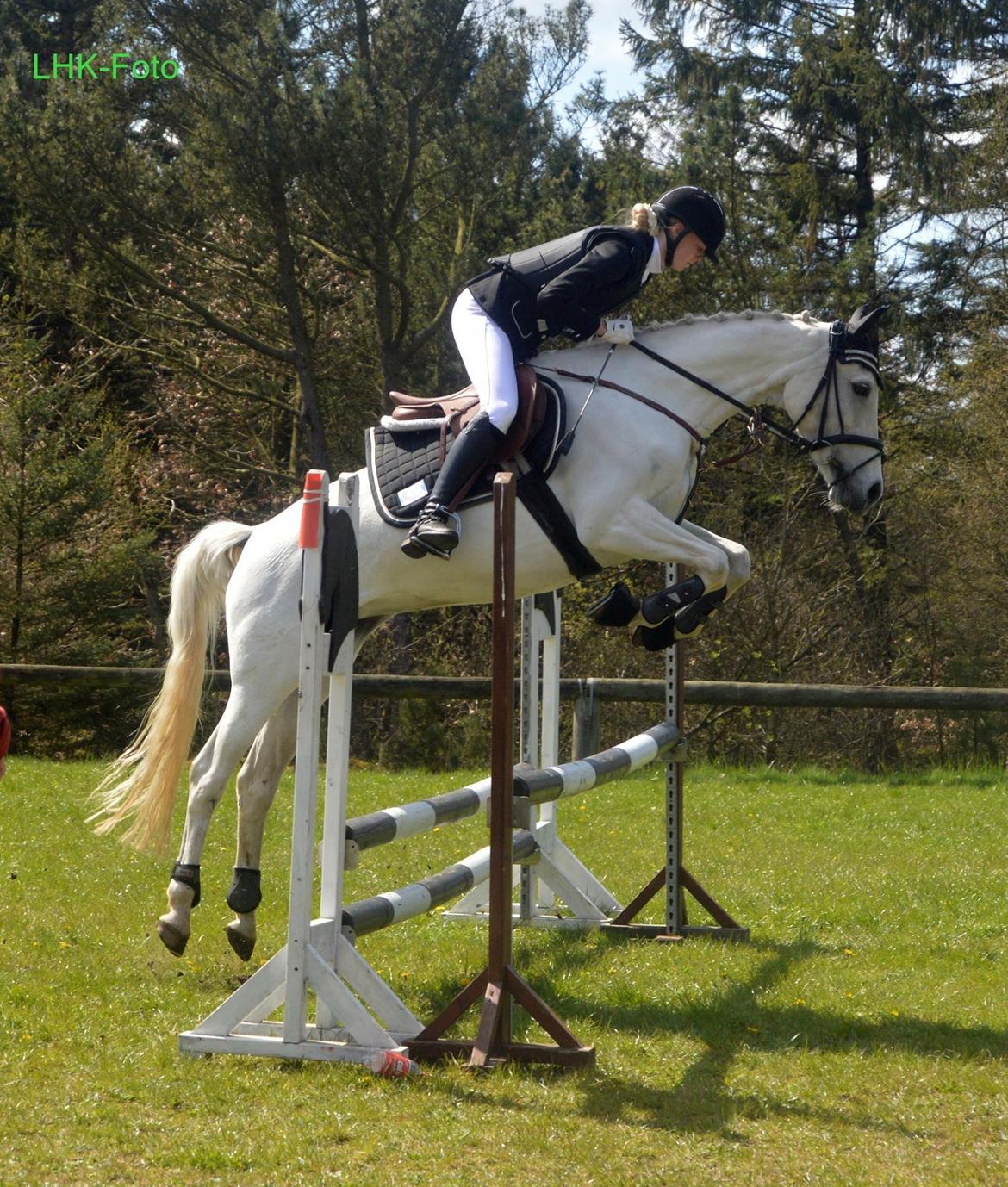 Anden særlig race Little light billede 1