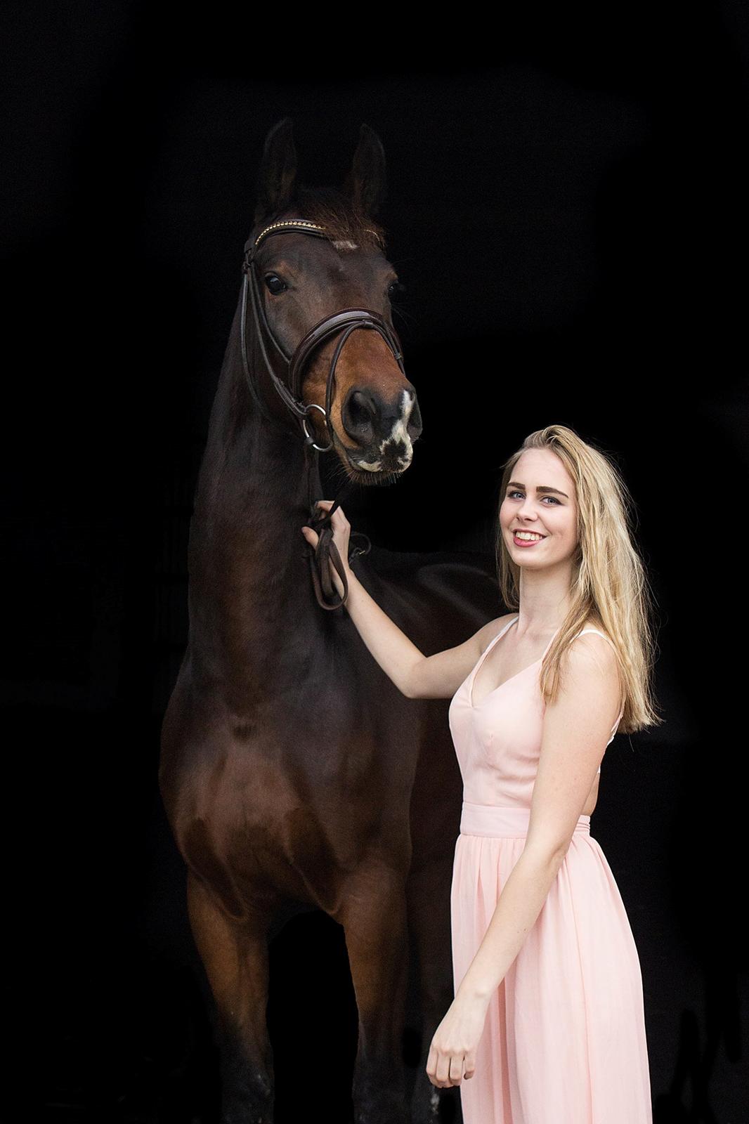 Dansk Varmblod Demi af Hedensminde billede 1