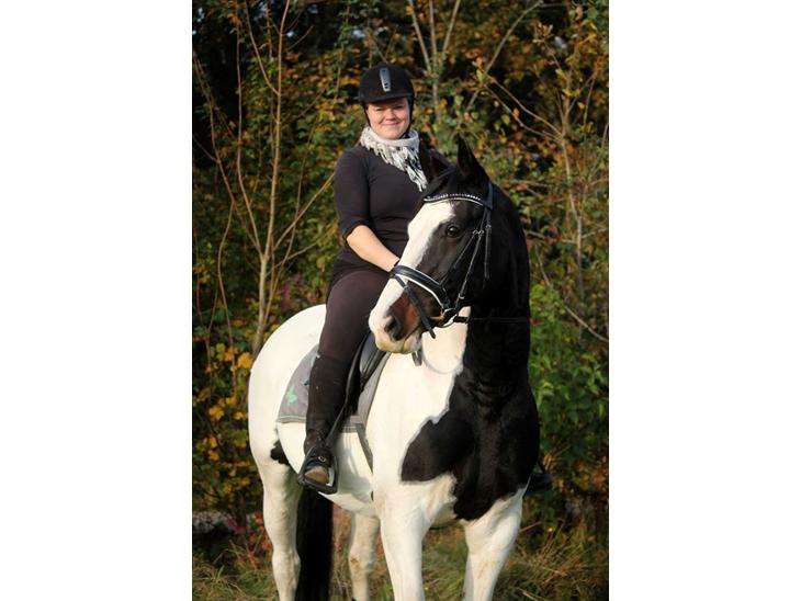 {{currentPhoto.altText}} billede {{currentPhoto.number}}