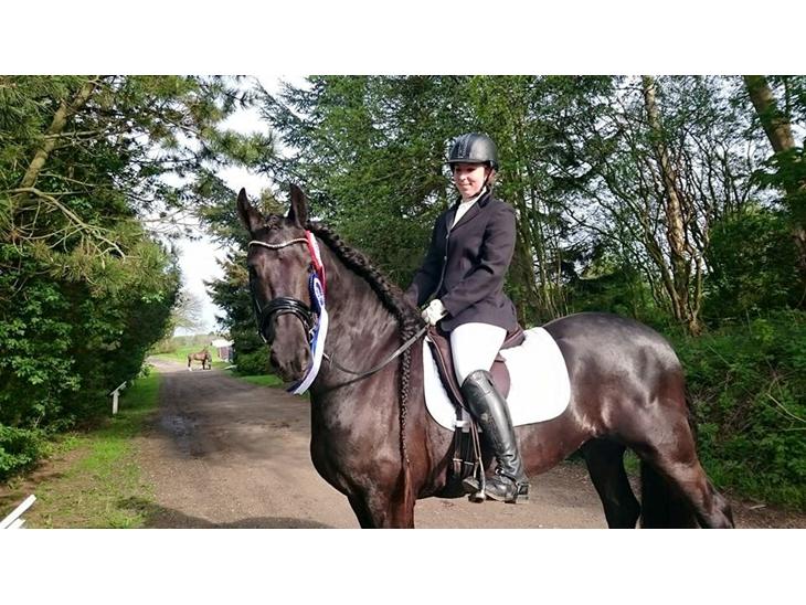 {{currentPhoto.altText}} billede {{currentPhoto.number}}