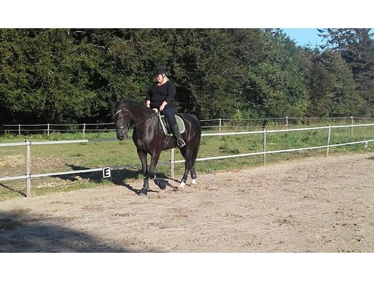 {{currentPhoto.altText}} billede {{currentPhoto.number}}