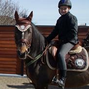 DSP Stidsbjergs Charina