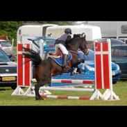 DSP Stidsbjergs Charina