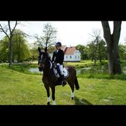 DSP Stidsbjergs Charina