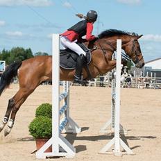 Anden særlig race Chanell