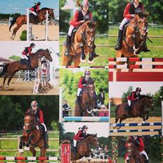 Anden særlig race Chanell