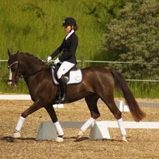 Anden særlig race Lykkebos Exotic Fire