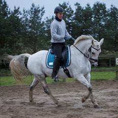 DSP Rafael Søblink *Soulmate*