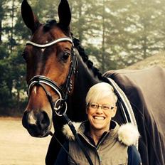 Dansk Varmblod Grandalgårds moon dancer