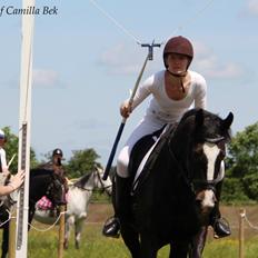 Oldenborg Birkely's Lantana