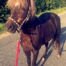 Anden særlig race Tarzan