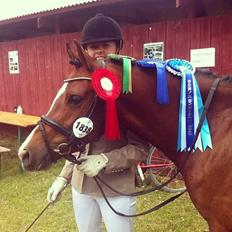 Welsh Partbred (Sec F) Katrinebjergs Ronja   A-pony