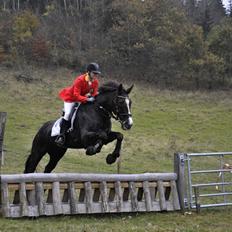 Oldenborg Camilla Mellergård