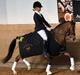 Welsh Partbred (Sec F) Katrinebjergs Ronja   A-pony