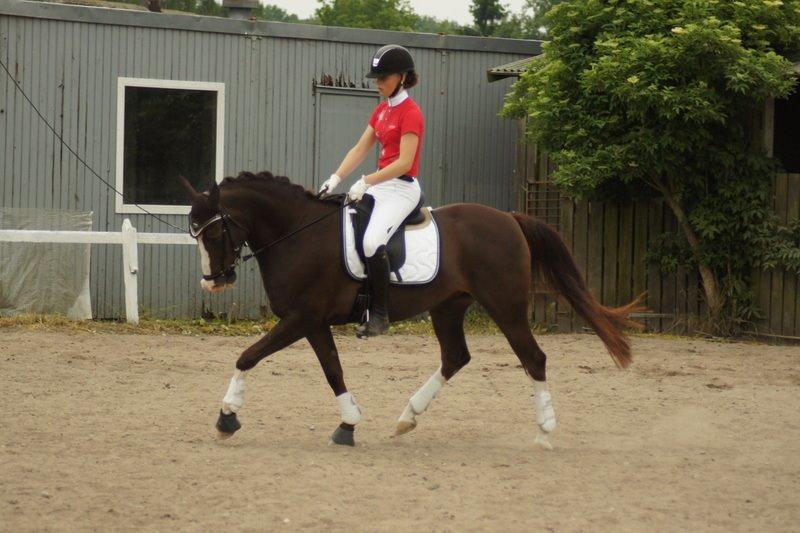 Anden særlig race Lykkebos Exotic Fire billede 16