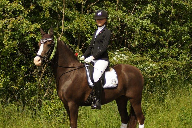 Anden særlig race Lykkebos Exotic Fire billede 18