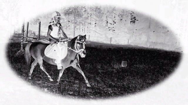 Welsh Mountain (sec A) Liljelunds Annabell billede 21