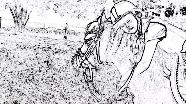 Welsh Mountain (sec A) Liljelunds Annabell billede 27