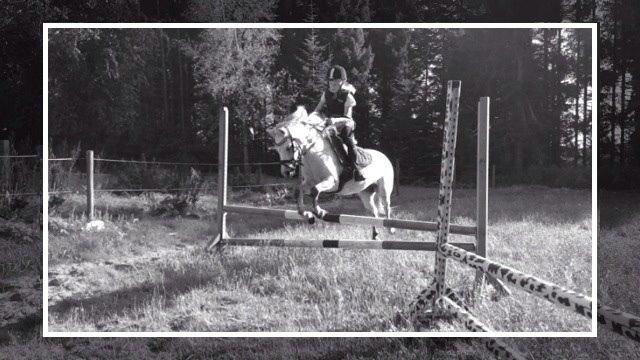 Welsh Mountain (sec A) Liljelunds Annabell billede 37