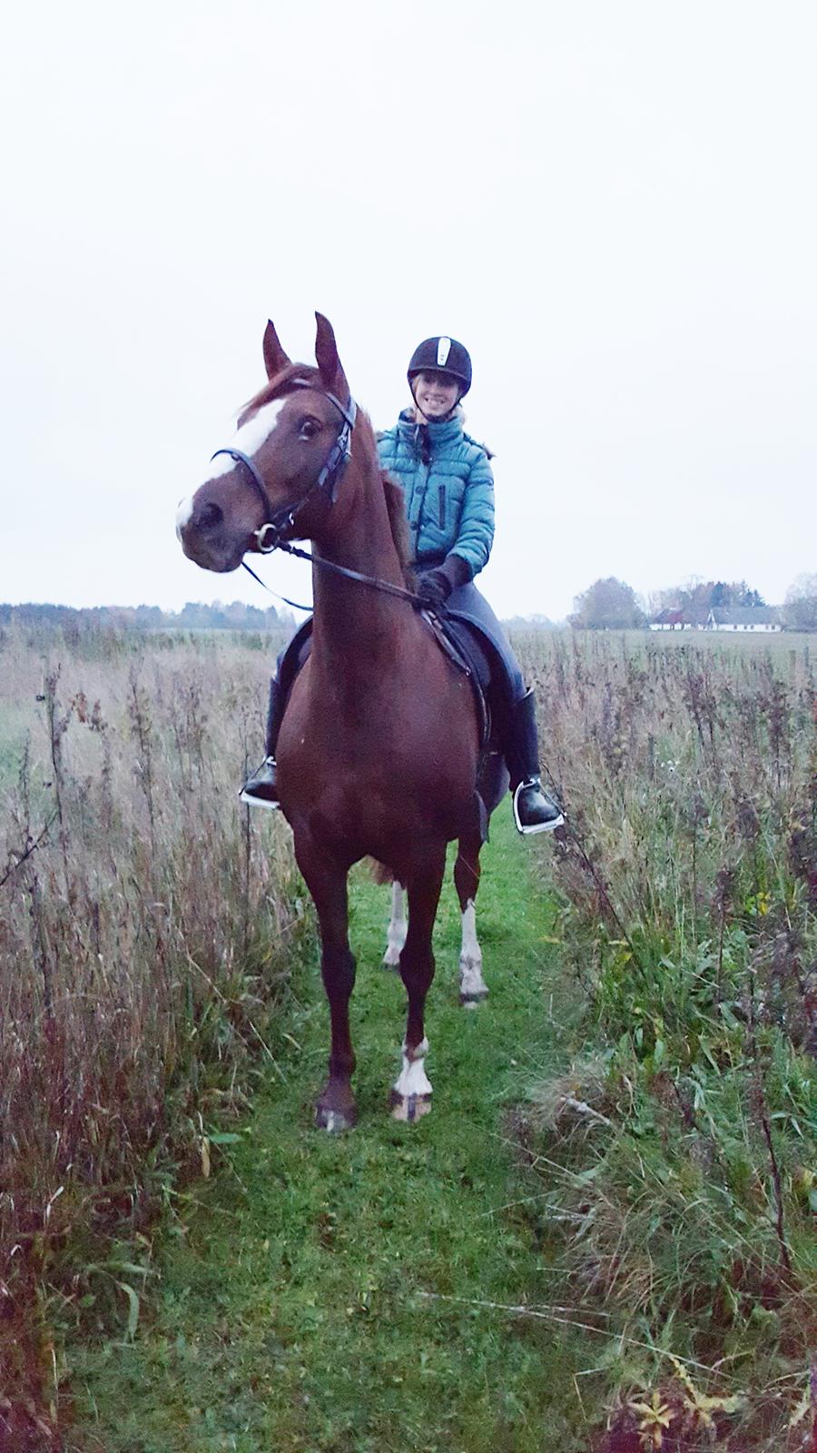 Frederiksborg Sussie Elmelund <3  billede 14