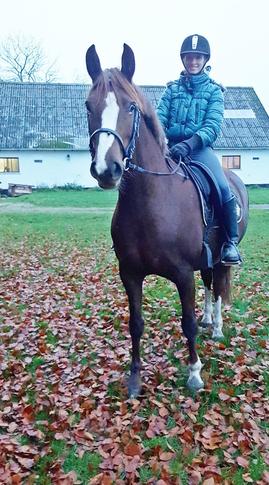 Frederiksborg Sussie Elmelund <3  billede 16