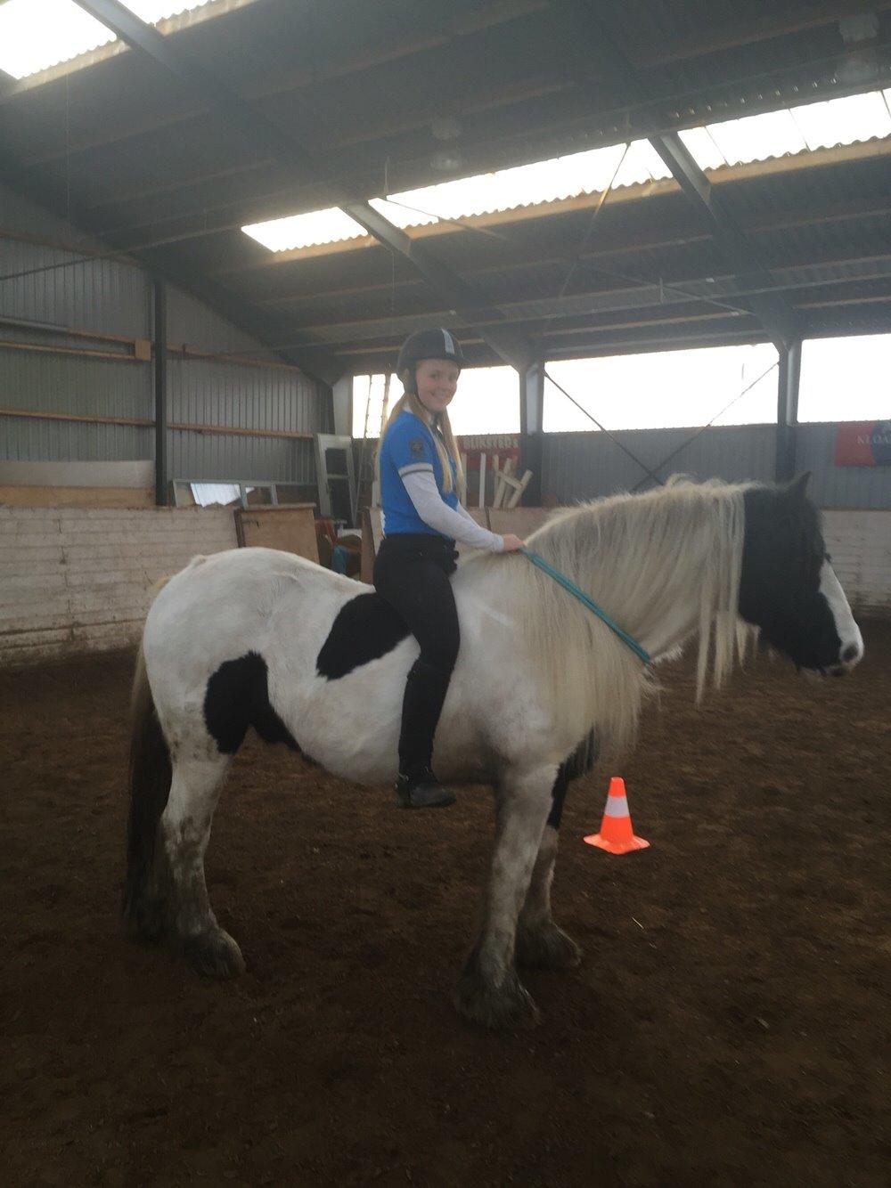 Tinker Sir Archibald af Østerbygaard - Cordeo ridning billede 14