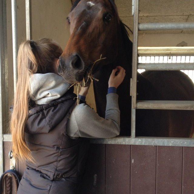 Fuldblod (XX) Bailey Blue - På besøg hos nye ejer billede 16