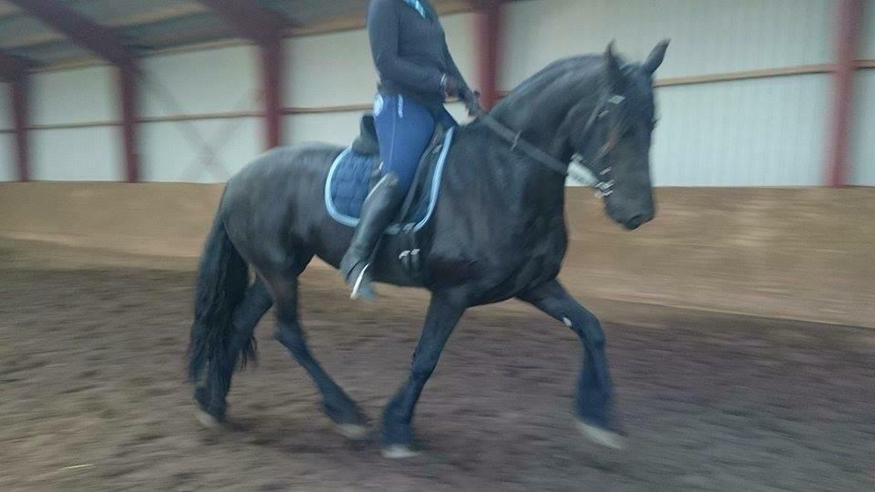 Frieser Gaia billede 1