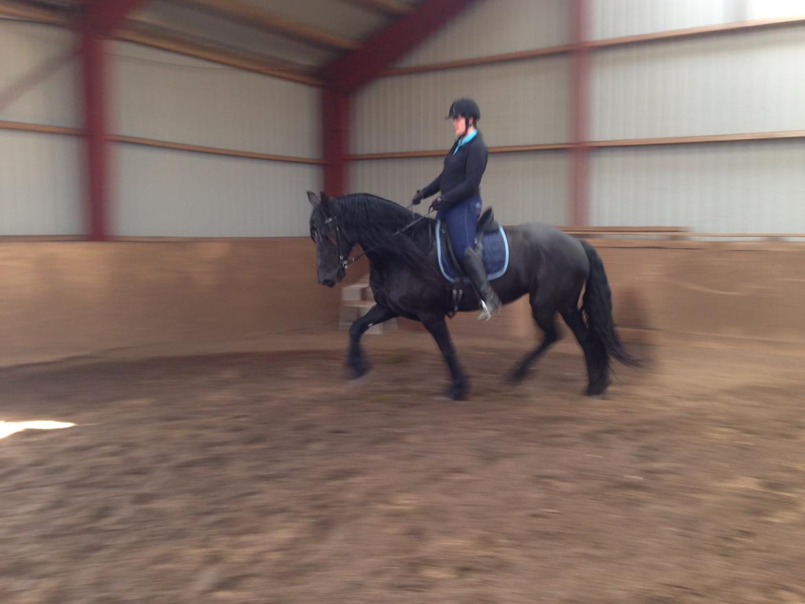 Frieser Gaia billede 3